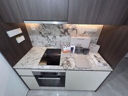 Tembusu Grand (D15), Condominium #526838781